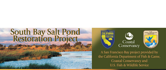 SBSPRP Banner
